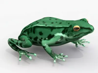 Low poly frog Low-poly 3D model