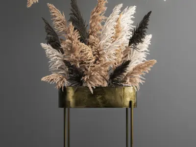 Hanging decor of their dried pampas grass 188 3D model