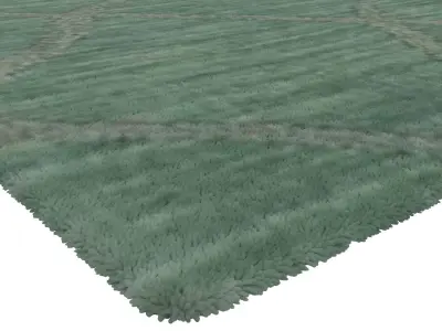 Rug Set 1113 3D model