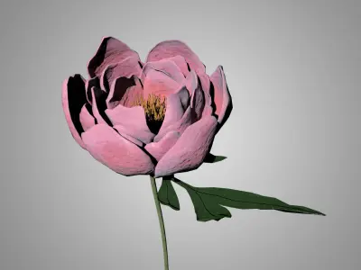 Peony 3D model