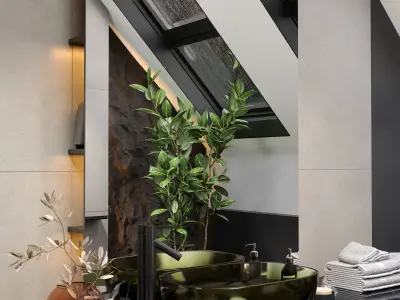 Bathroom interior scene 3D pack 3D model