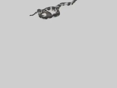 California King Snake slithering model Low-poly 3D model
