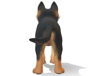 Puppy - Shephed Low-poly 3D model