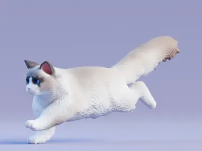 Low poly - Stylized cats - Ragdoll Cat Low-poly 3D model