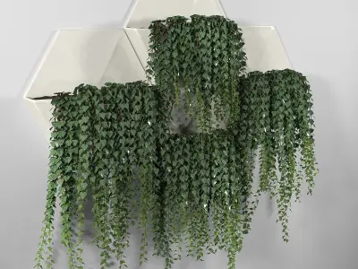 Hexagonal Honeycomb Succulent Wall Planter 3D model