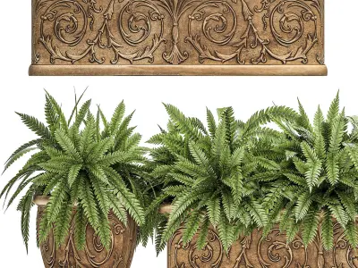 Ornamental bushes in classic flowerpots for parks and garden 494 3D model