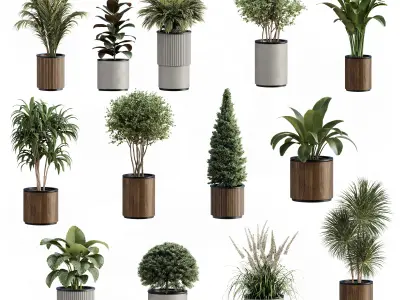 13 High Quality 3D Pot plants 3D model