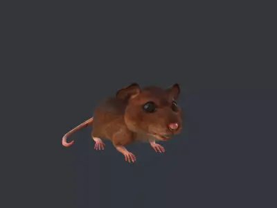 Animated mouse Low-poly 3D model