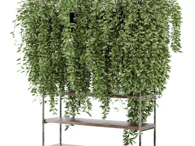 Indoor Plants in rusty Concrete Pot on Metal Shelf - Set 23  3D model