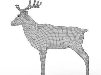 Deer Base Mesh Low-poly 3D model