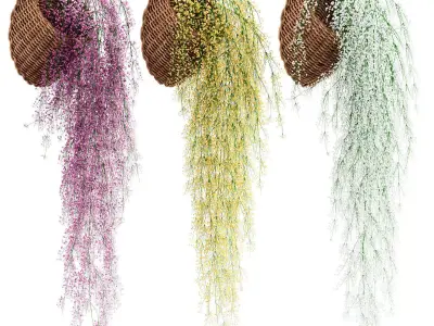 Hanging plants in wicker pots 3D model