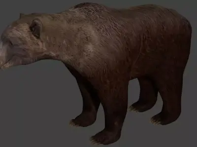 Bears pack Low-poly 3D model
