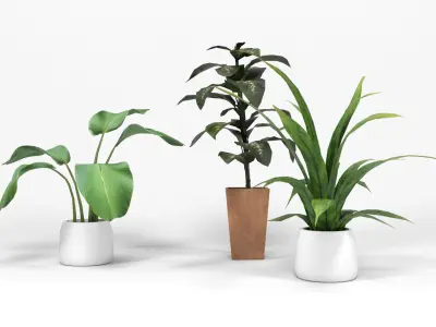 Plants 1 Low-poly 3D model