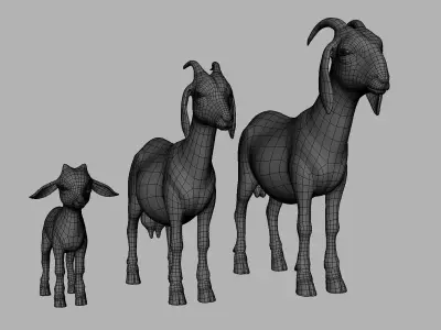Goat Family Basemesh Low-poly 3D model
