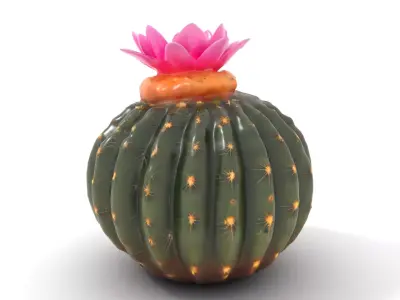 Flowering Cactus Plant model pack Low-poly 3D model