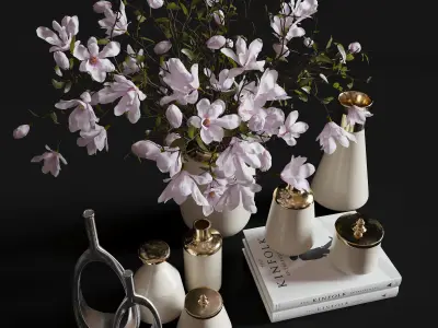 Decoration Set 30 Magnolia and Vases 3D model