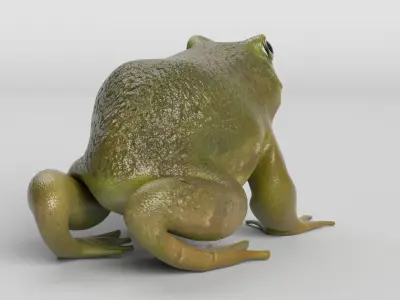 Bullfrog Low-poly 3D model