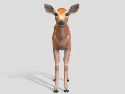 Deer - Calf Low-poly 3D model