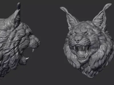 Lynx head angry  3D print model