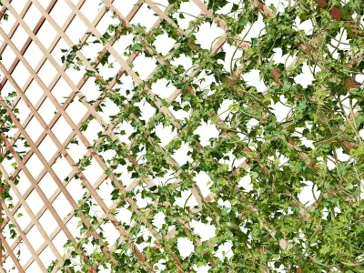 Wood Mesh Wall with Ivy Climber Low-poly 3D model