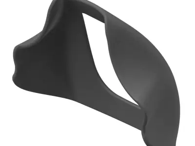 Carbon Fiber Bike Visor 3D model