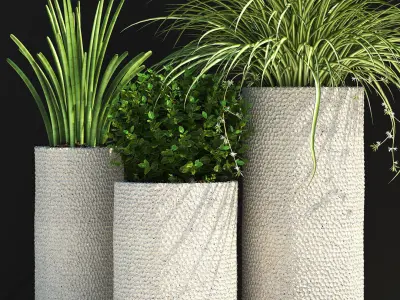 plants set 129 3D model