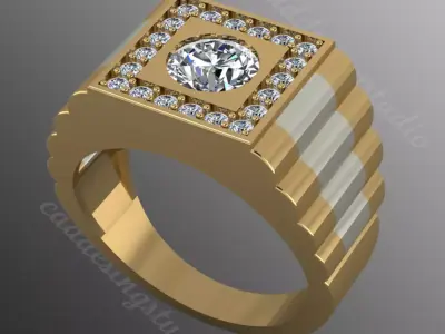 Ring bi152 3D print model