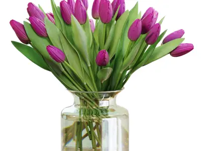 Flower Set 22 - Purple Tulips Bouquet 3D model