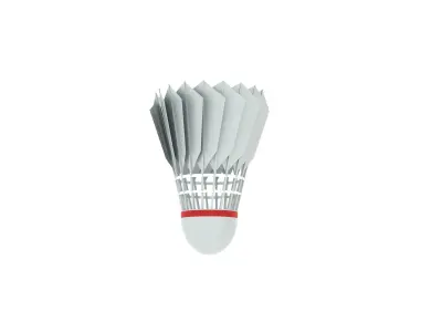 Badminton court Racket and shuttlecock Low-poly 3D model