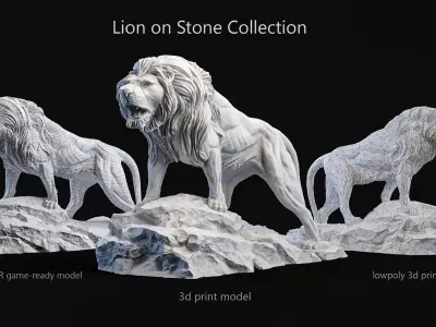 Lion standing on a stone Collection