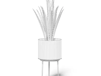 Aloe in White Pot 3D Model 3D model