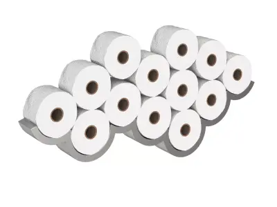 Toilet paper rolls 3D model
