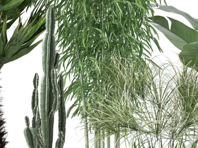 Plants collection 129 3D model