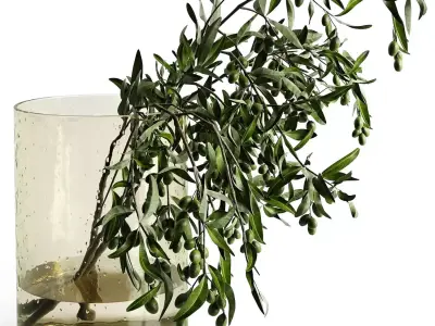 olive garden 3D model