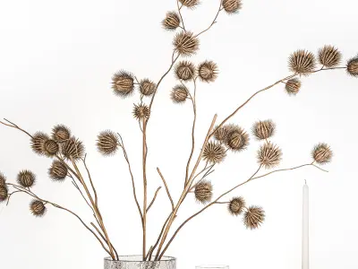 Bouquet Of Dry Thorns In A Glass Vase For Decor 3D model