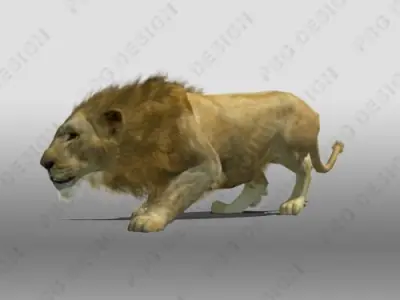 Lion Animated 3D model
