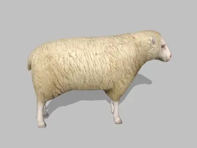 sheep Low-poly 3D model