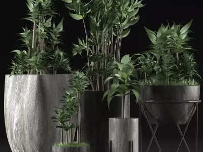 Plants Collection 14 3D model