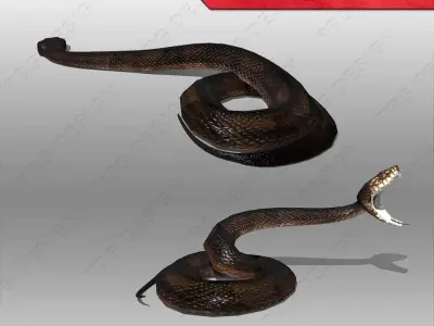 Snake Animated Low-poly 3D model