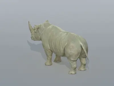 Rhinoceros Low-poly 3D model