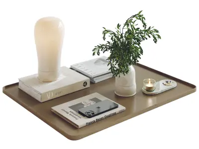 Decorative set shuba 3D model