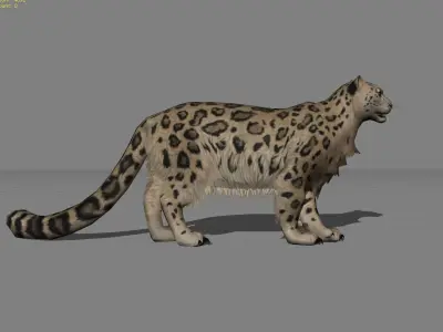 Leopard Animal  Low-poly 3D model