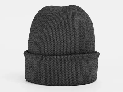 Winter Hat V1 - Dark Knitted Beanie with Folded Cuff 3D model