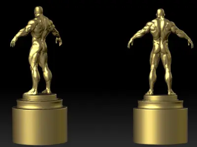 Bodybuilding trophy Free 3D print model