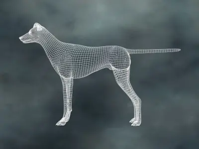 MDGH-003 Rigged Dog 3D model