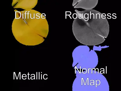 Golden Pear Slice model pack Low-poly 3D model