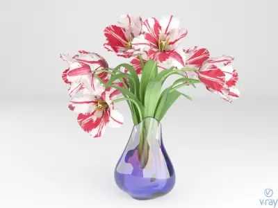 Fringe Tulips 3D model