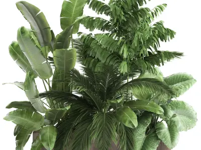 Houseplants in a flowerpot for the interior 919 3D model