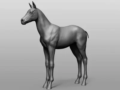 Domestic Baby animal collection 3D model