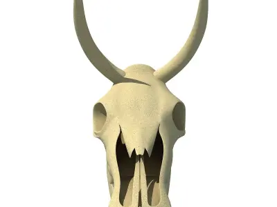 Horn Cow Skull 3D model